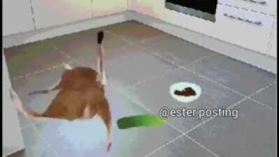 An interesting meme. I guess.