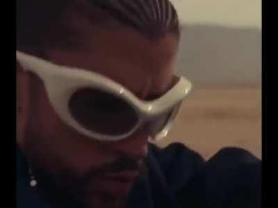 Nuevo hit del conejo!