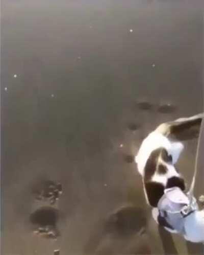 It was a mistake coming out here