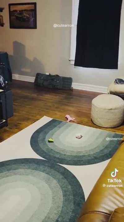 Food over everything ✔️