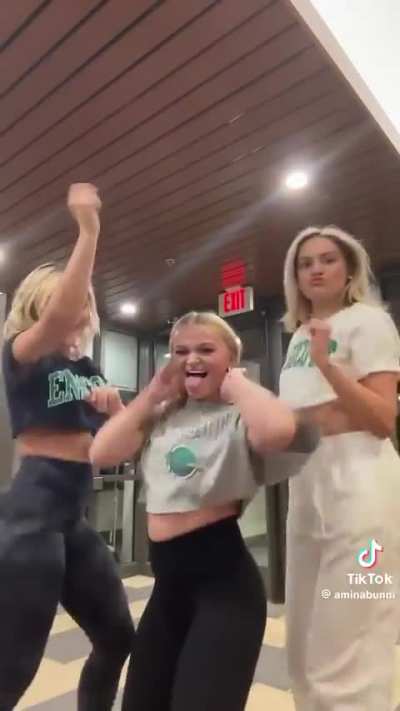 mytiktokvidsbackup - Video #4343