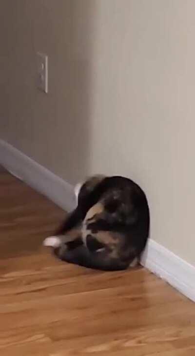 Daily ghost sighting episode