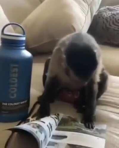 He can't wait to drink water from that