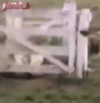 😎😎😎😎😎😎😎