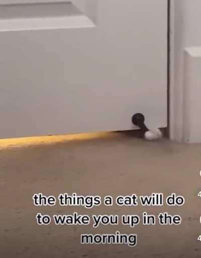 Excuse me! Time to wake up.