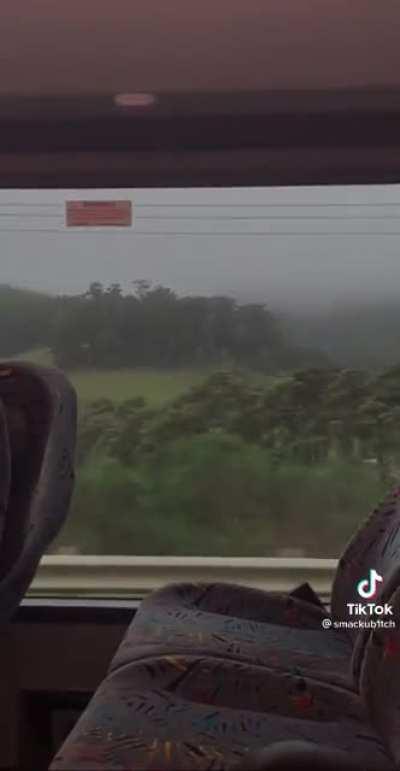 Watching the scenery go by from a train window