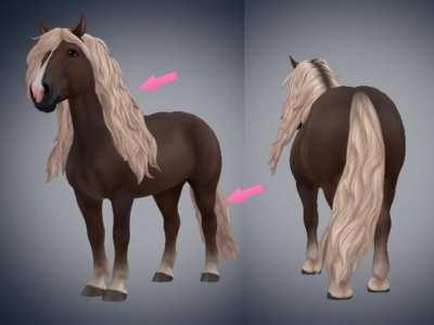 Black forest's mane sways gently in the wind, and it's so relaxing❤️