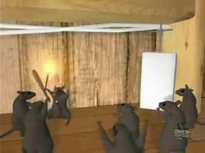 How to get rid of rats in your wall