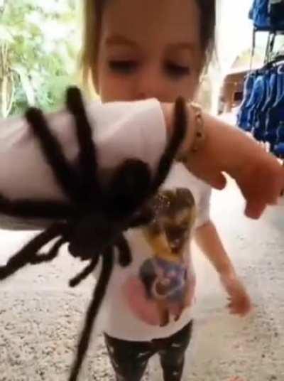 This kid treats tarantulas as her bestfriend.