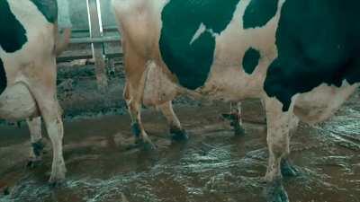 Check out our film MILK: The Universal Bond Between a Mother and Child