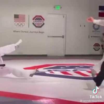 Taekwondo head kick