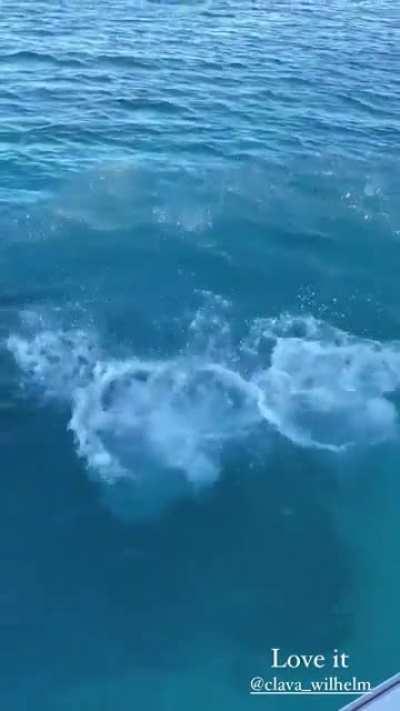 Emilia Story 21.05.21