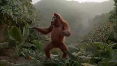 Monke dancing