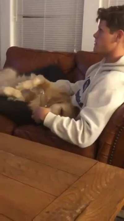 Just a dog holding a beer!