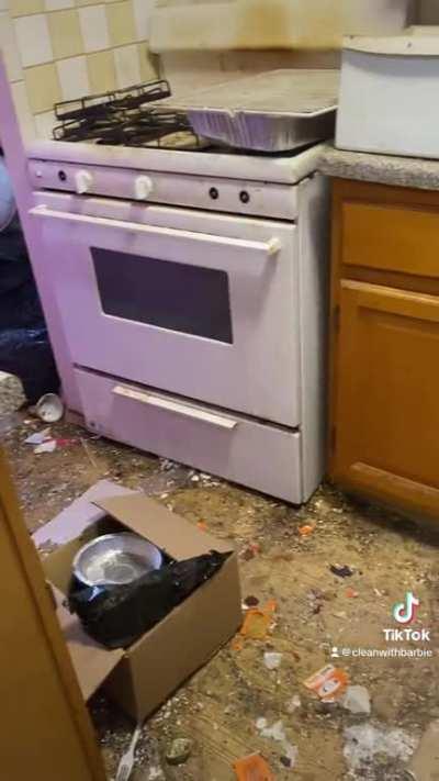 4 days hard cleaning for a sick woman in close to 1 minute