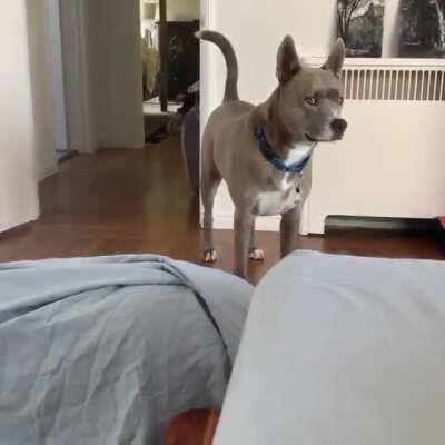 His reaction when he saw her