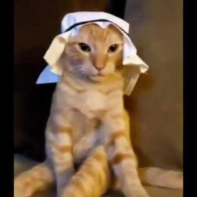 Mutahar Anus moment .