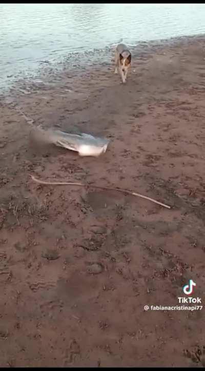 NOOOOOOOSSAAAAA SINHOOOORAAAAA