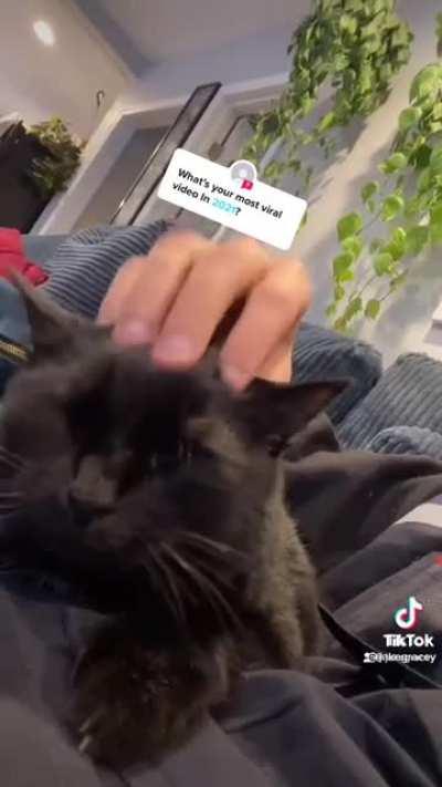 Scrungy with a melody