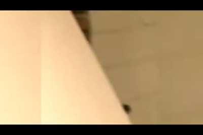 Dog rips monster chainsaw fart causing cat to vomit