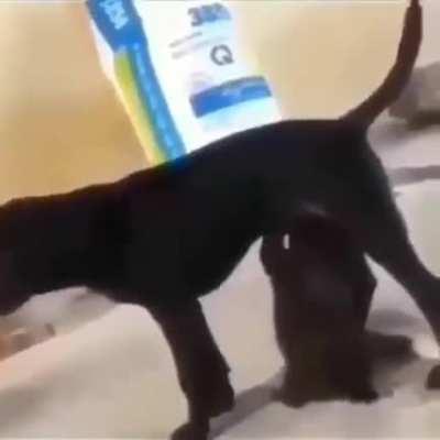 May god have mercy on your soul