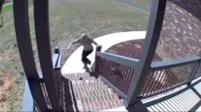 This skunk is relentless