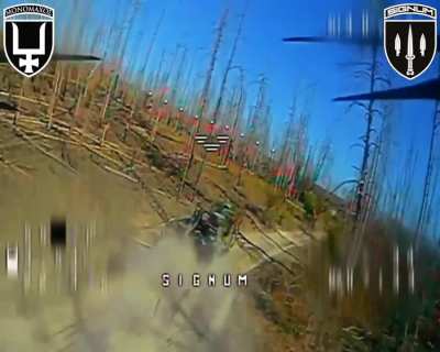Ukrainian fiber-optic FPV drones of the SIGNUM Battalion hit Russian soldiers and destroyed an enemy logistic vehicle. Lyman direction. 13.10.2025
