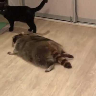 I am the ground. Sneak attack 100.