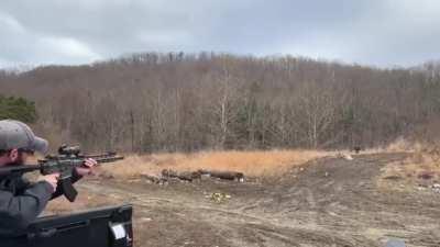 More wholesome but stupid