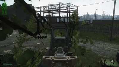 THEY’RE IN THE TREES