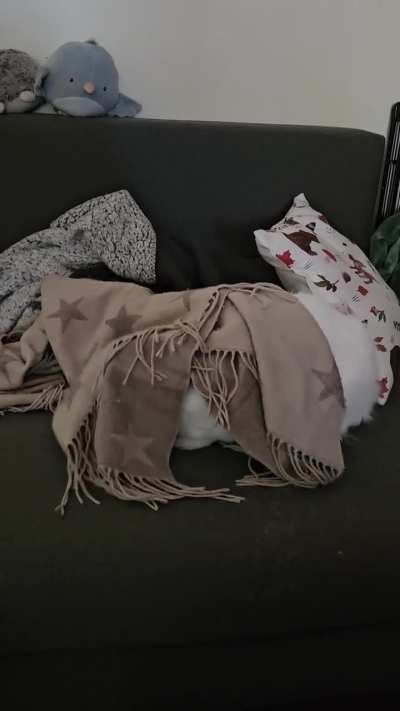 Breaking: bunny devoured by unknown creature