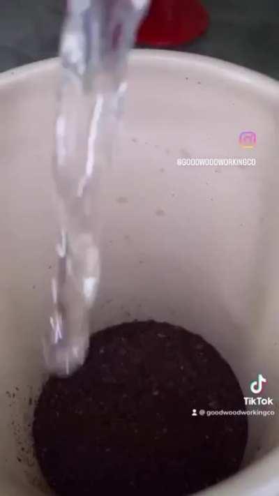 Coffee stir-stick .... stirer .... er