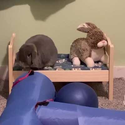 Gary, “It’s Sunday - I vote for more time in bed.”