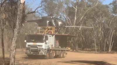 Not sure what is going on here but that is a sexy looking bird