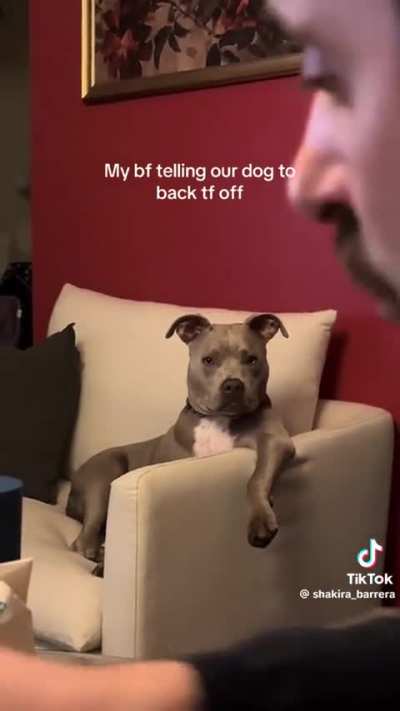 My bf telling our dog to back tf off