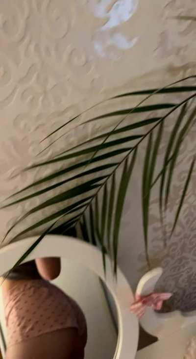 Please ignore the tag on my shirt