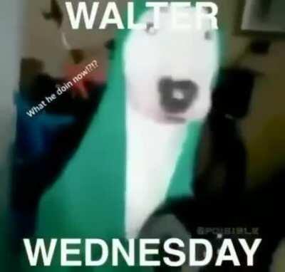 Walter Wednesday