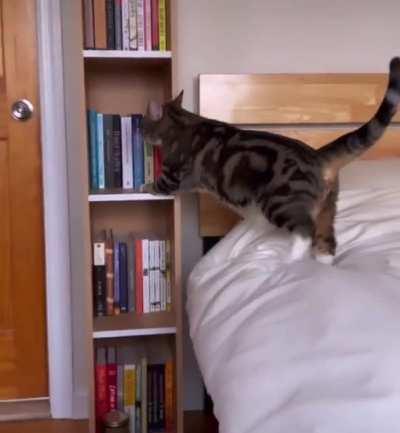 When Dinner Is 3 Minutes Late