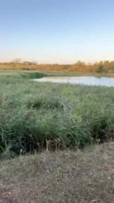 [20] how beautiful is the scenery?