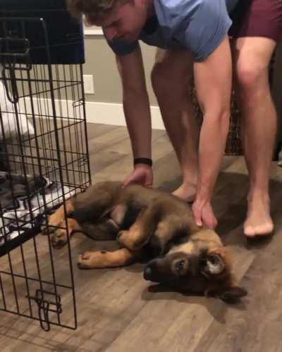 But daaad I don't want to go to bed