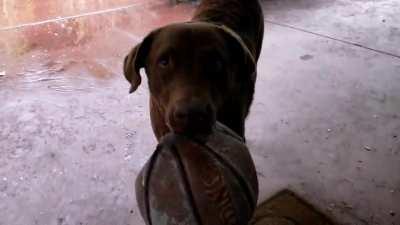 I love the Sound of rain on a metal roof, it's so peaceful..