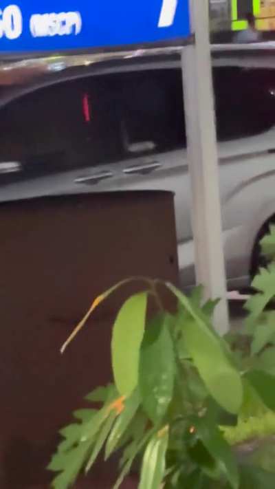 What is this animal in Singapore