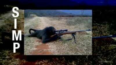 I am a simp, anyone else?