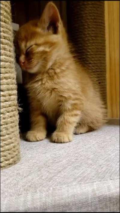 Don't fight it little one