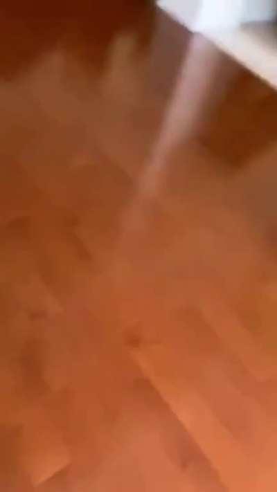 DO RE MI FA SOL LA SI.......