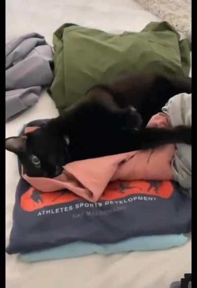 You're a jerk, Kevin.