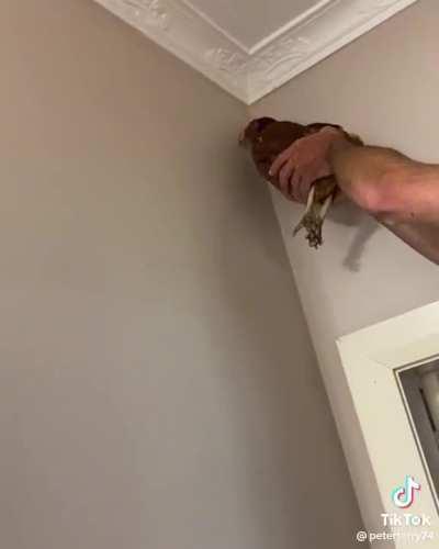 Making a man's chore fun