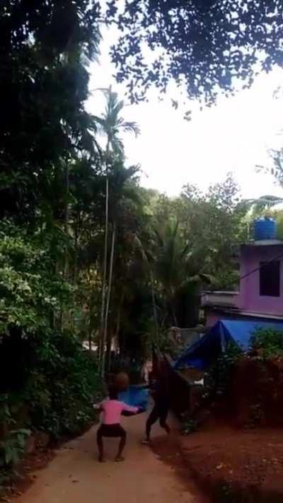 To catch this jackfruit