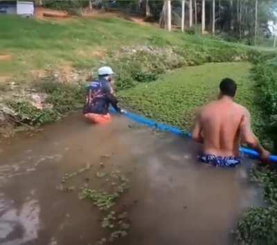 Clearing the river of an invasive species