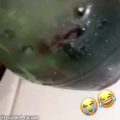 funny wock sluhsh video meme 😁😁😂😂🤣😃😄😂😂😅